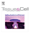 TISSUE & CELL雜志封面